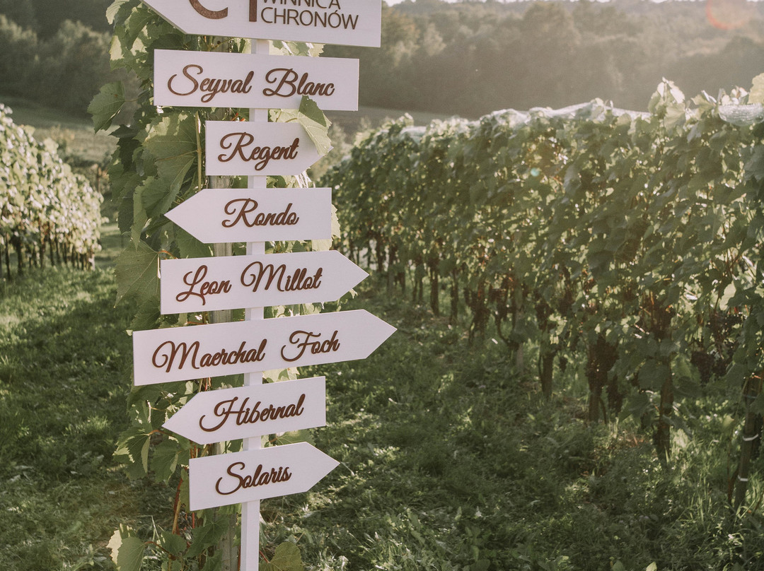 Chronów Vineyard景点图片