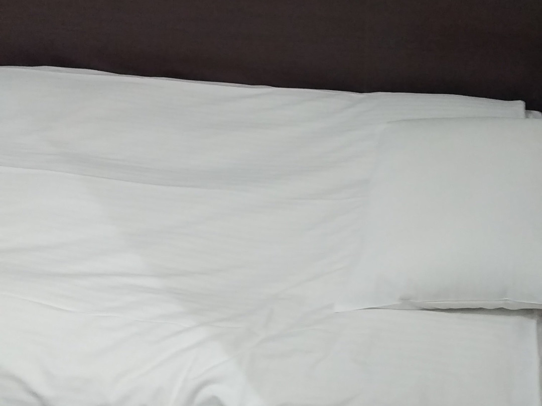 Toei Hotel主图