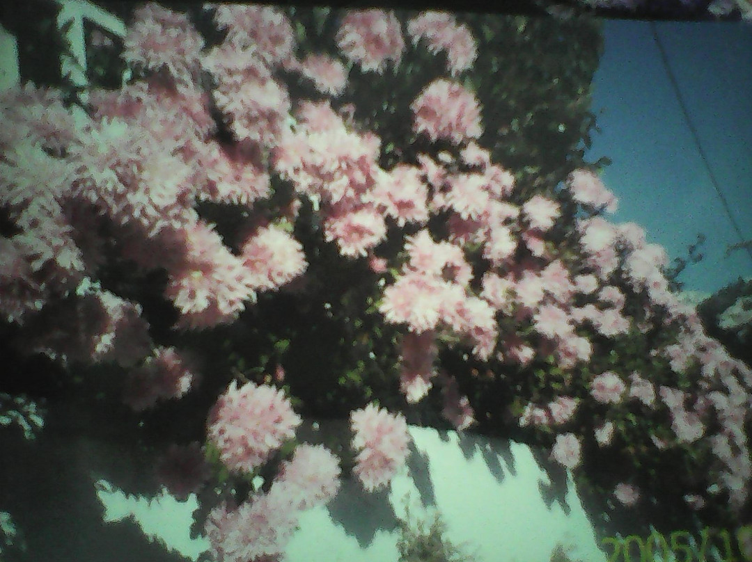 Oxilithos旅游攻略图片