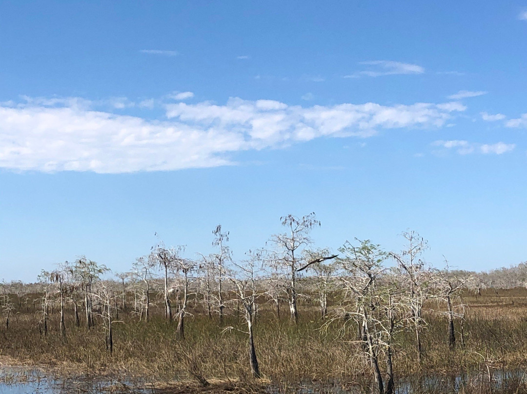Tippy's Outpost Airboat Rides-奥乔皮必去景点