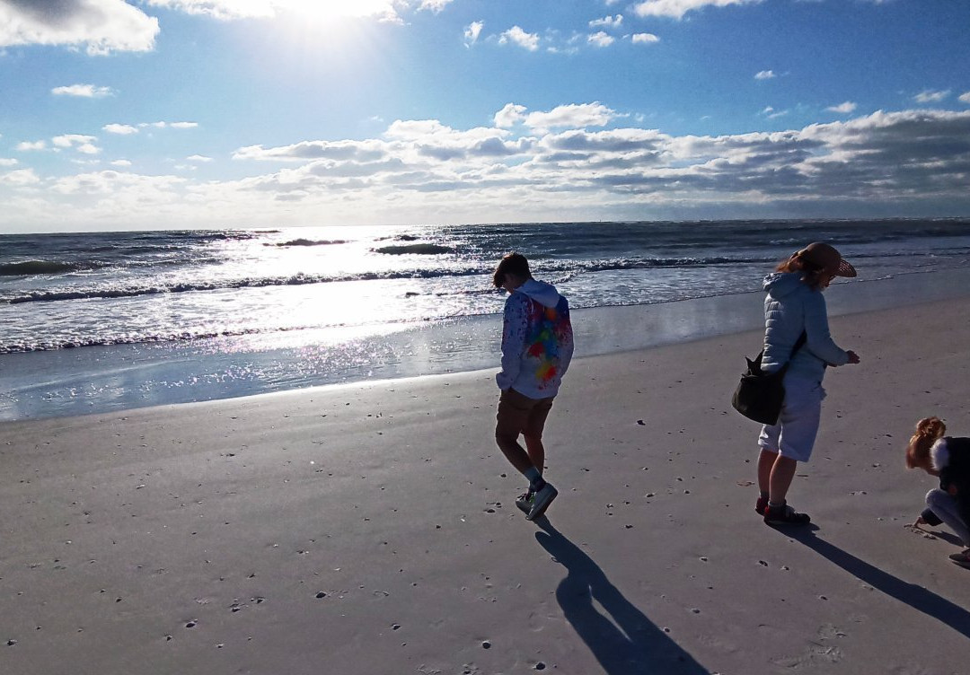 Lido Key Beach景点图片