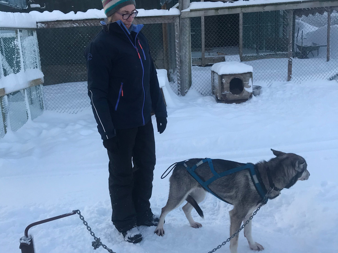 Sortland Villmarkssenter-Sortland必去景点