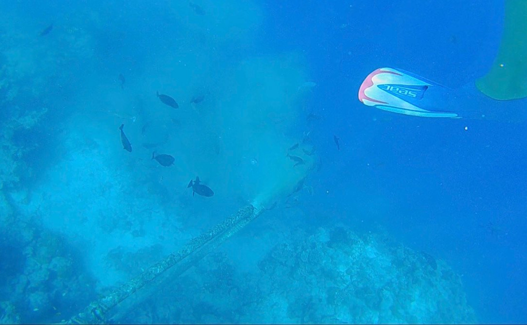 Dive Ocean Dhuni Kolhu-杜妮可鲁岛必去景点