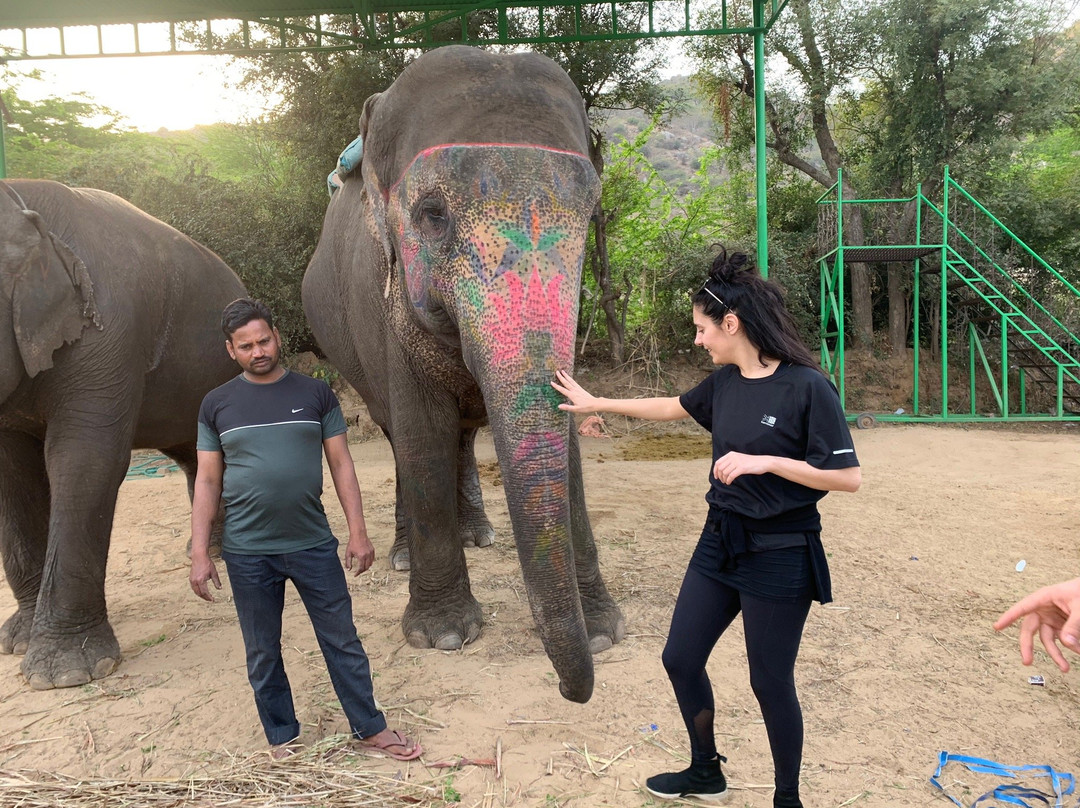 My Elephant Trip景点图片