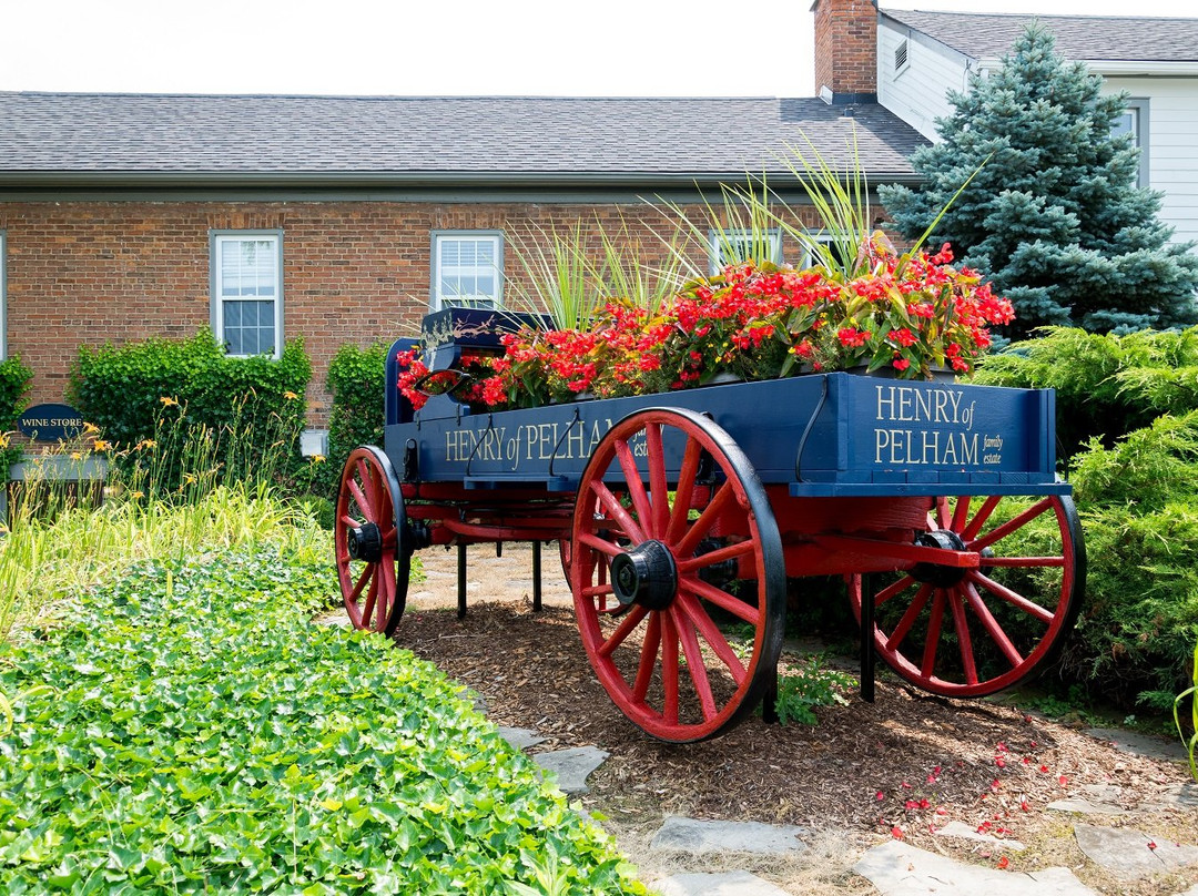 Henry of Pelham Family Estate Winery-圣凯瑟琳斯必去景点