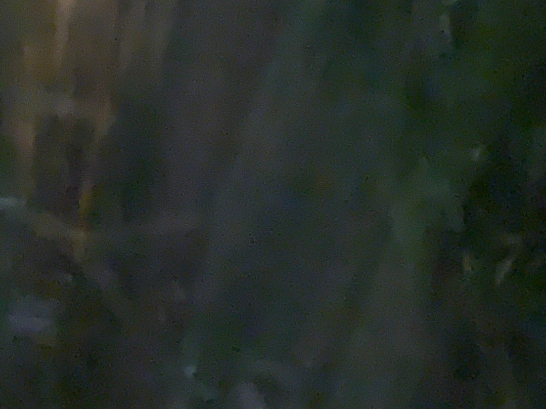 Ghostwalk Charleston-查尔斯顿必去景点