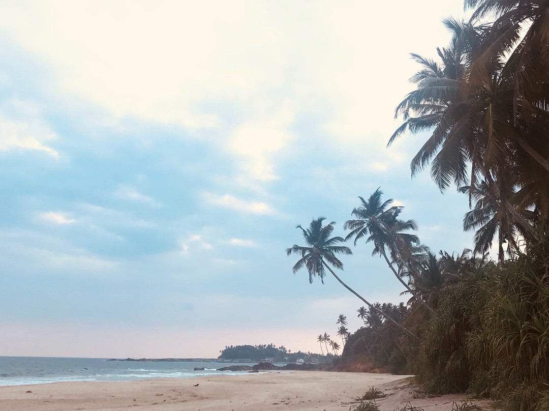 Kingdom Resort主图