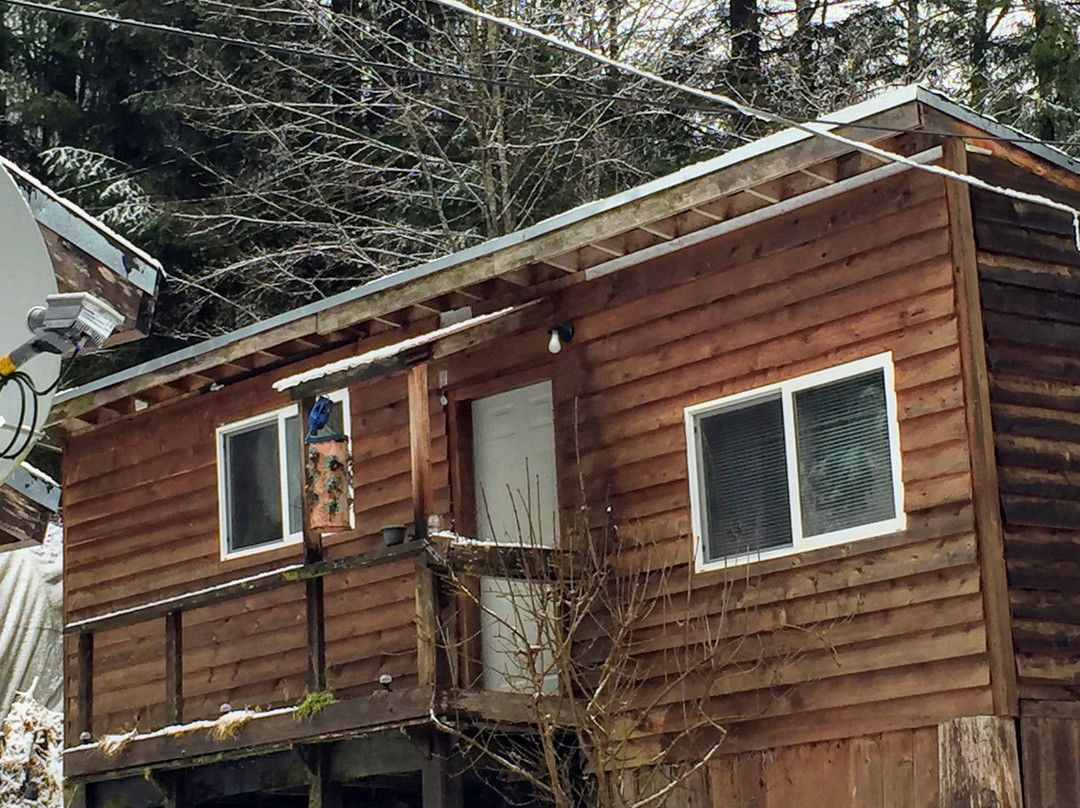 Hollis Creek Cabin