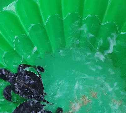 M.P.Holiday Tours Sri Lanka-卡卢特勒必去景点