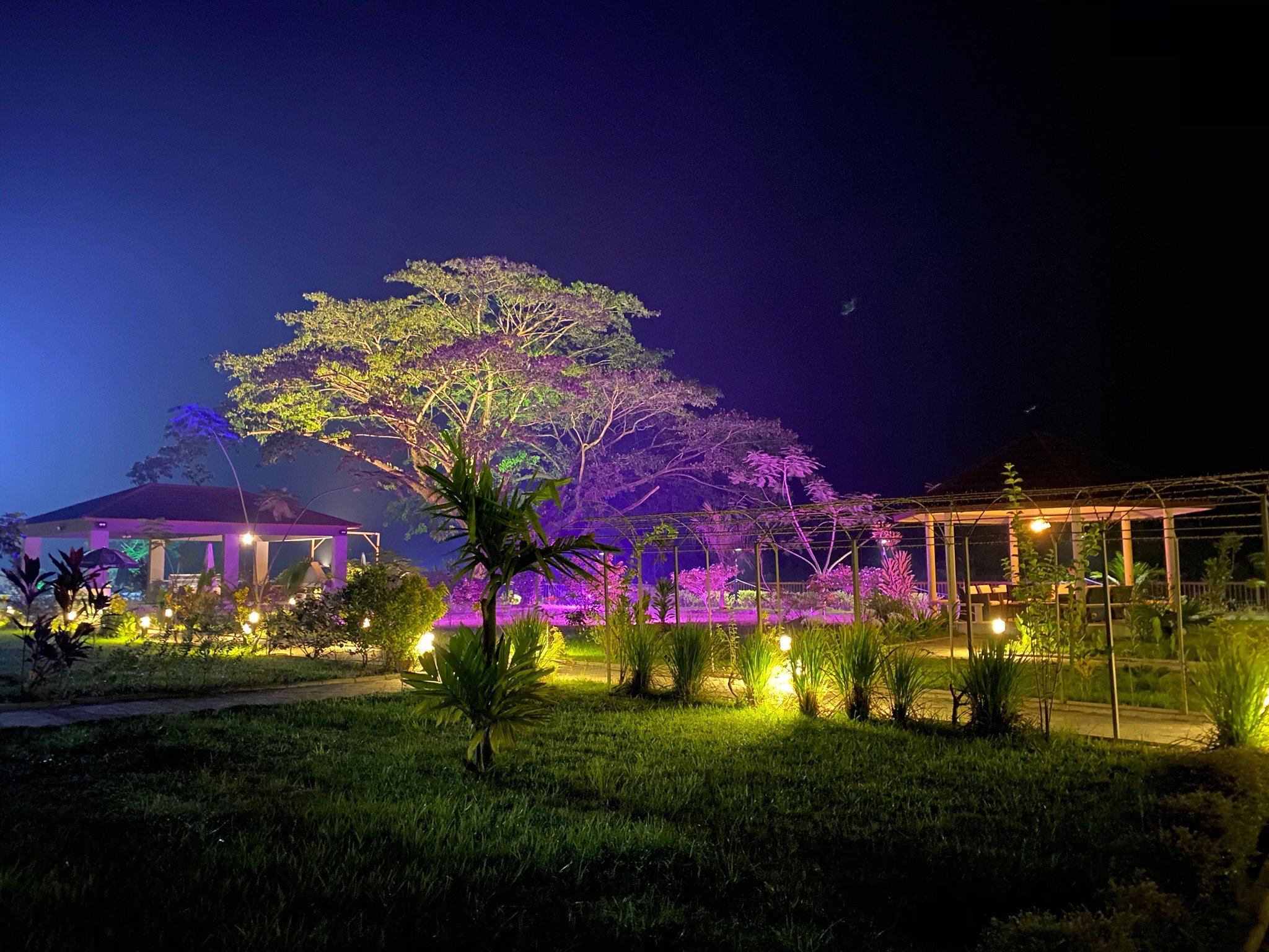 The Farmington Hotel-官方