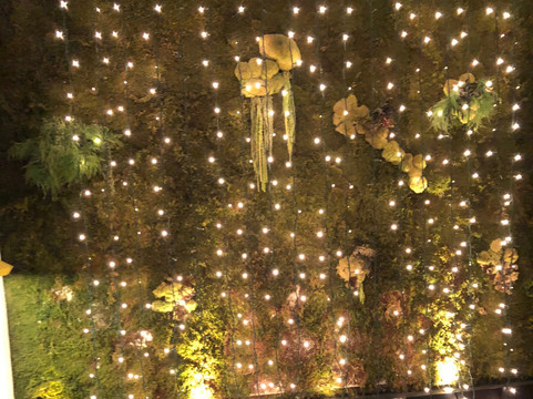 La Azotea de Benito-大加那利岛拉斯帕尔马斯必去景点