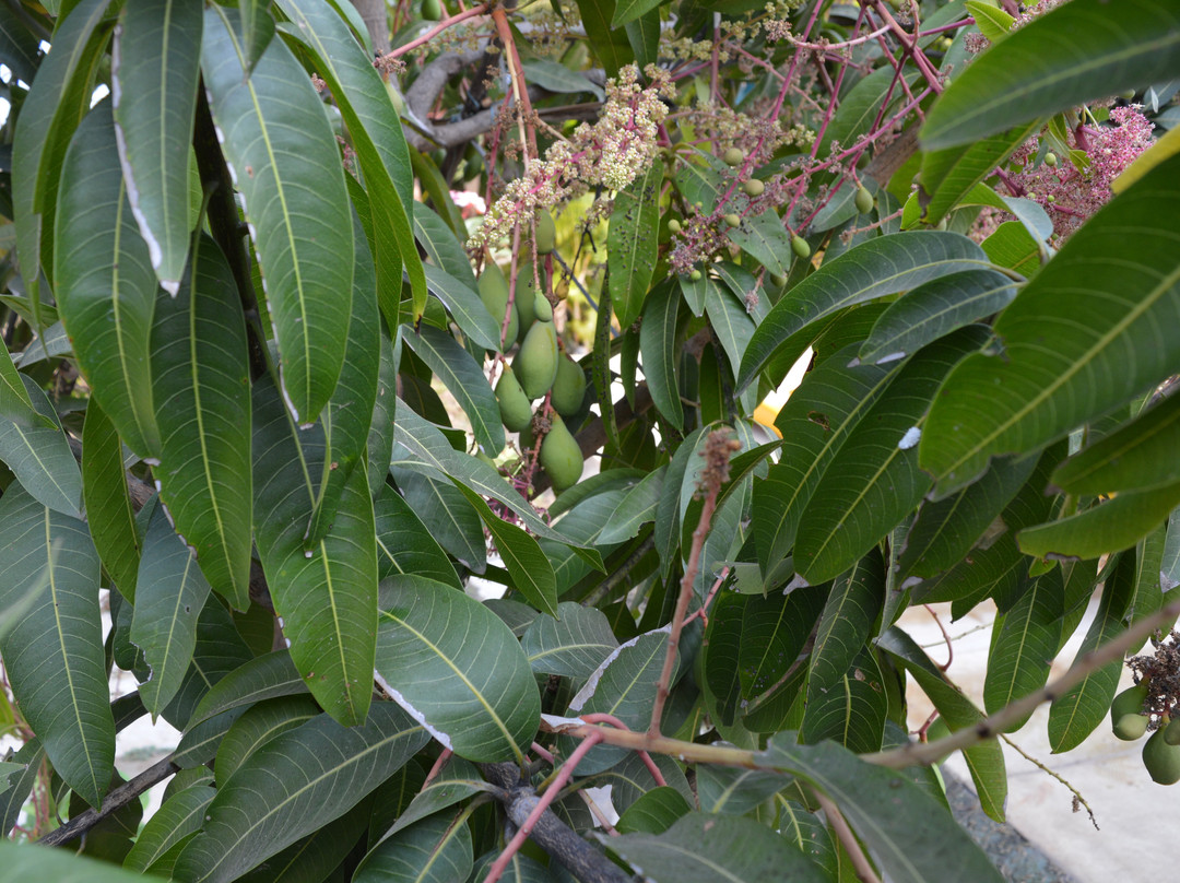 O'Nest by The Beach主图