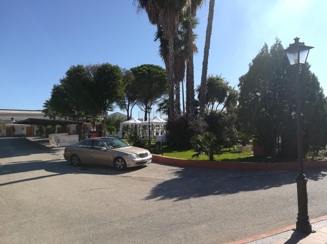 萨尔瓦多酒店主图