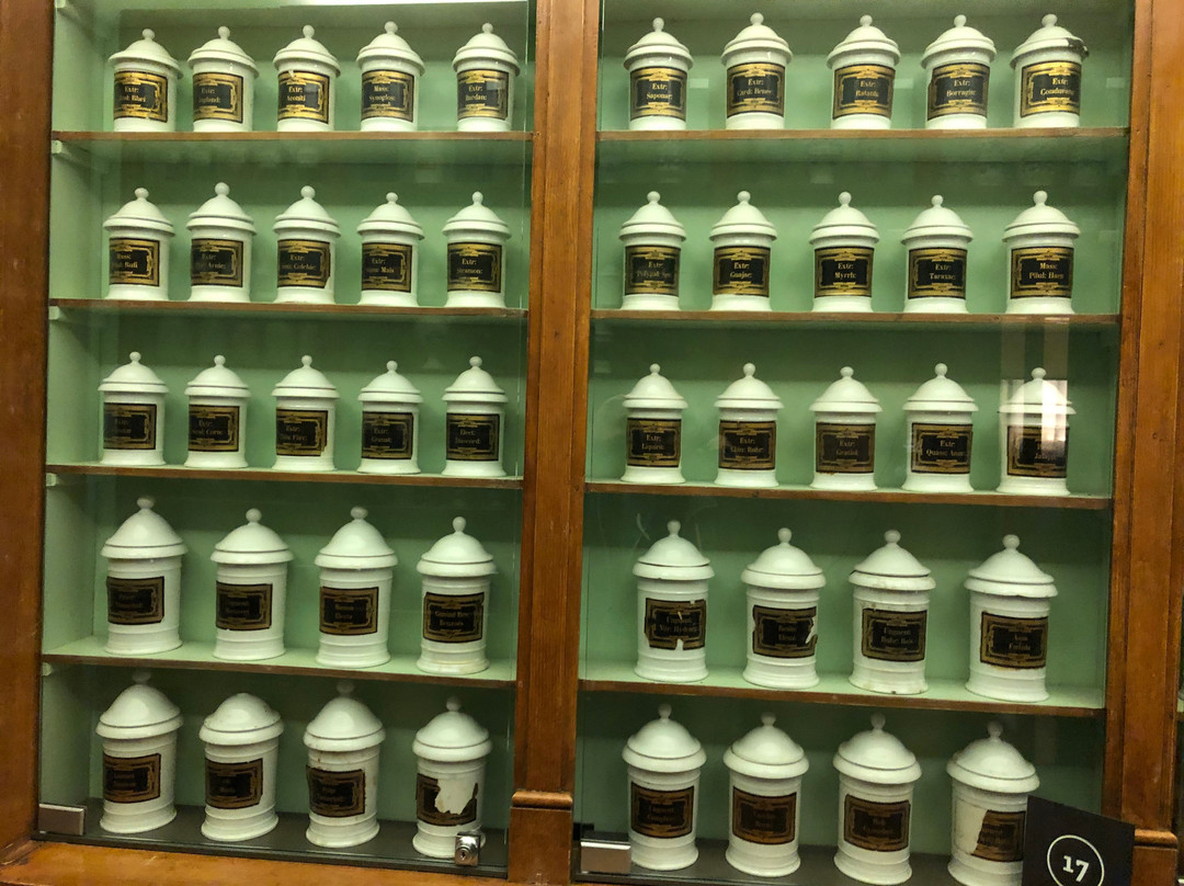 Hospital Notre Dame de la Rose Museum景点图片