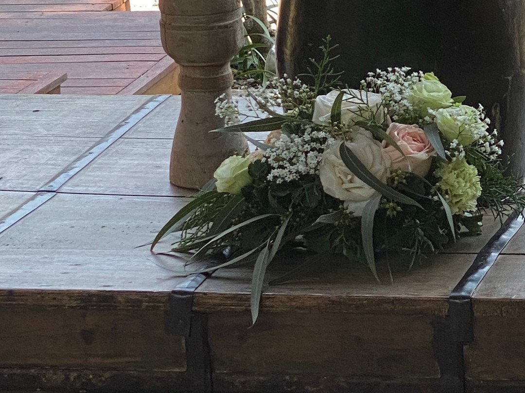 Into The Forest Resort主图