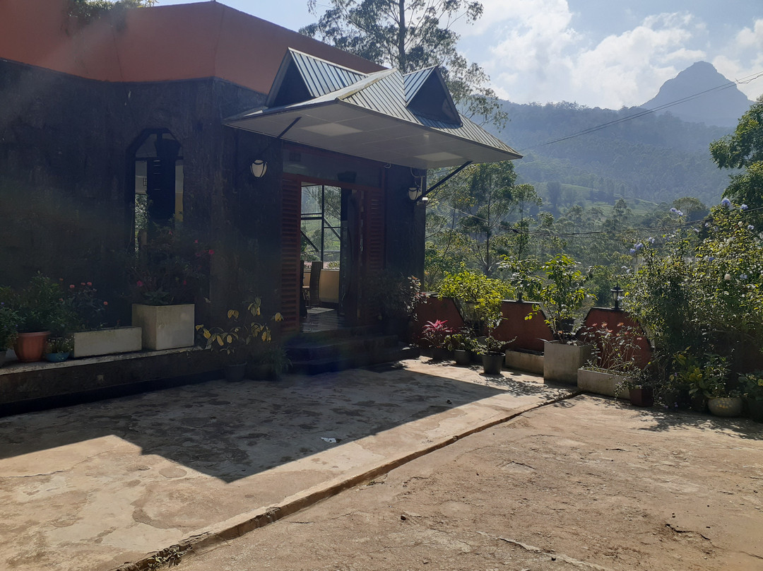 Slightly Chilled主图