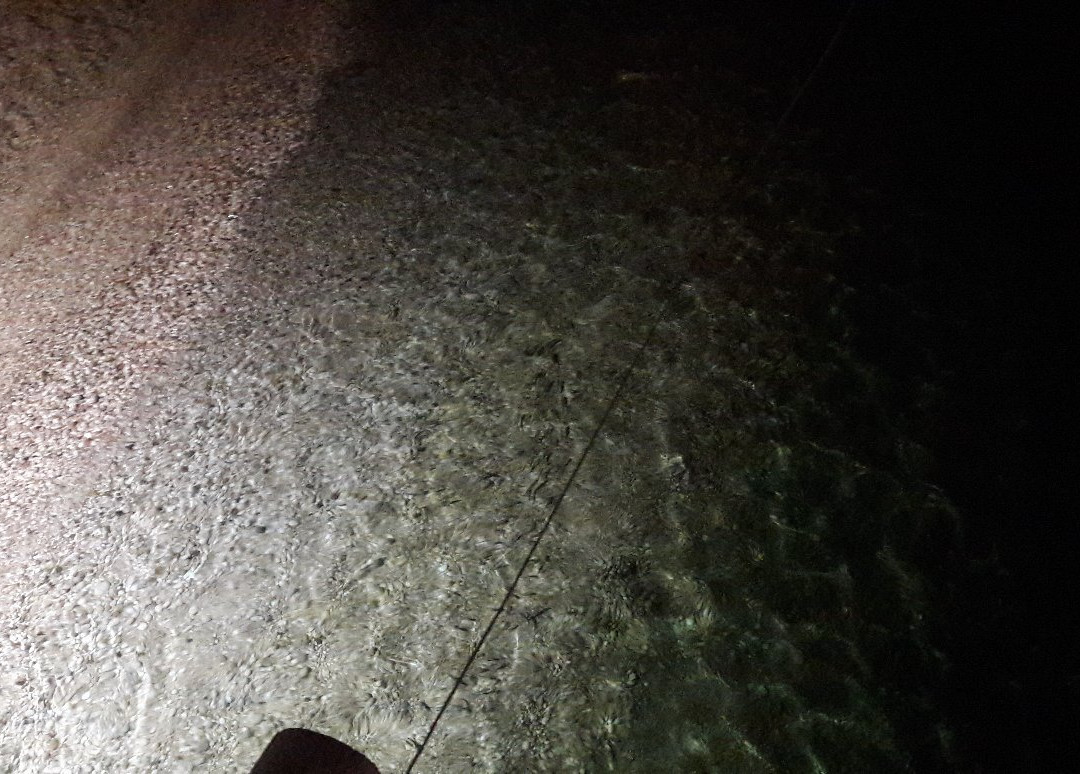 Spiaggia Ripari Bardella景点图片