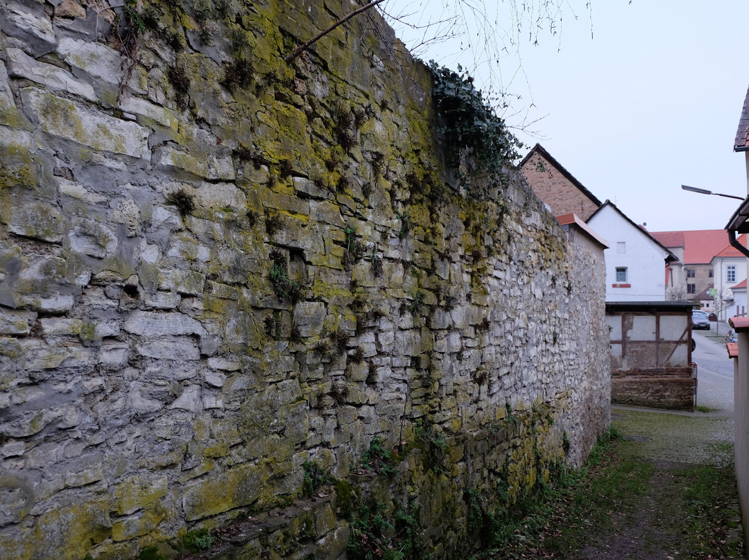 Schoeninger Wallgarten景点图片