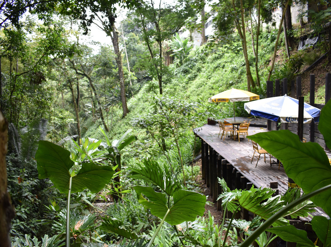 Hotel Bambu Inn主图