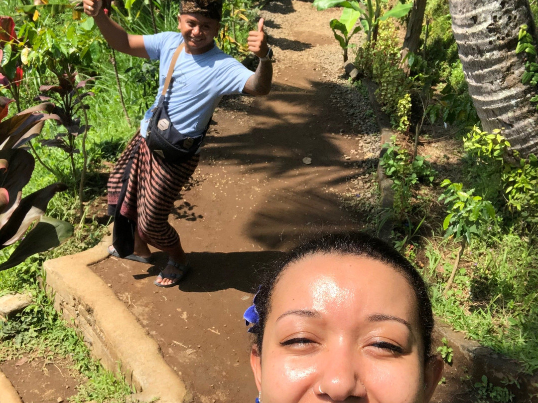 Casta Bali Driver-乌布必去景点