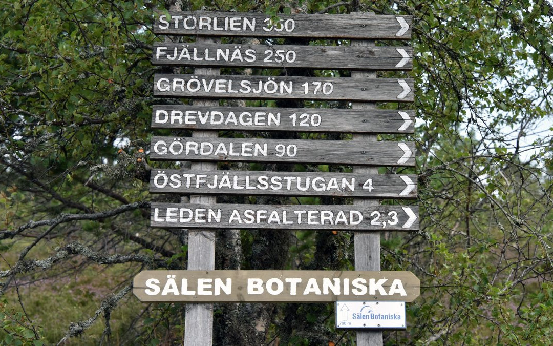 Salen Botaniska景点图片