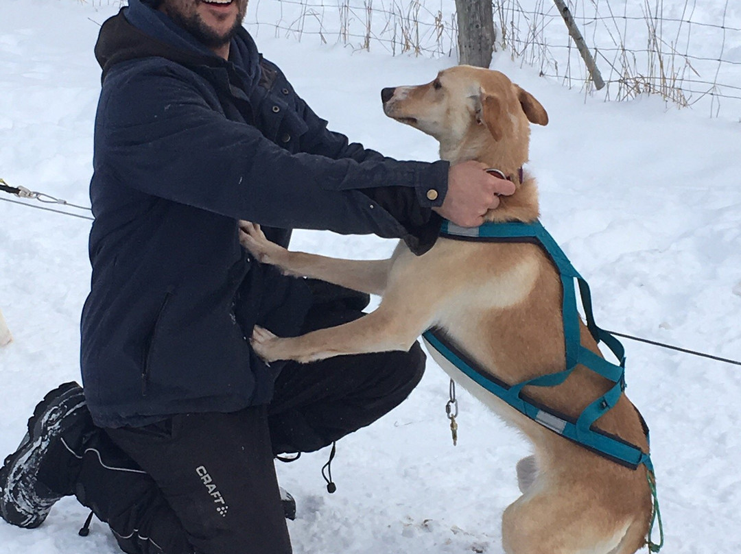 Ferme L'Aventure-Low必去景点