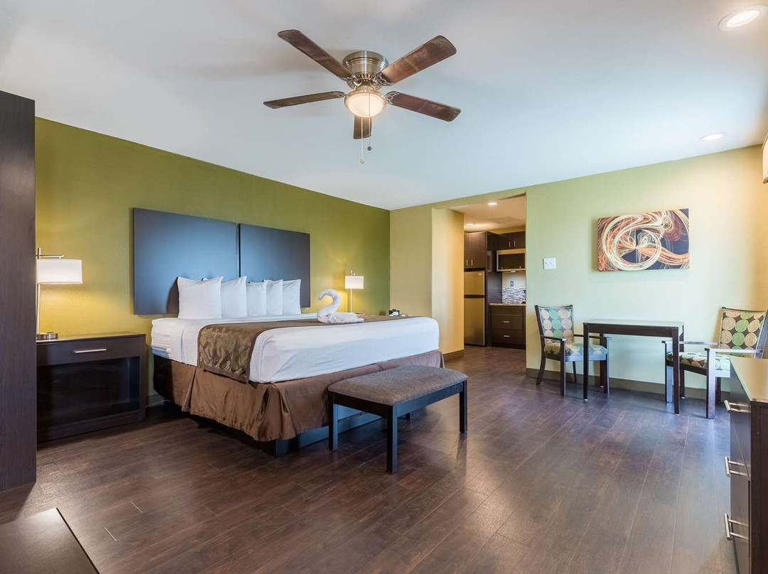 Best Western Padre Island主图