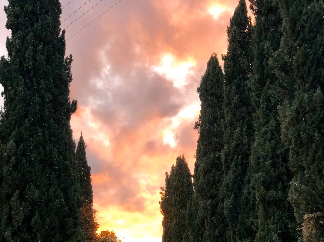 Agriturismo Terre di Leonardo主图