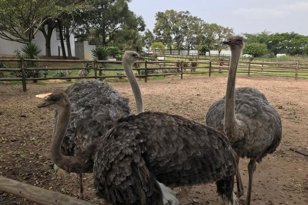 AIM CAPE TOURS(Pty)Ltd-开普敦中心区必去景点