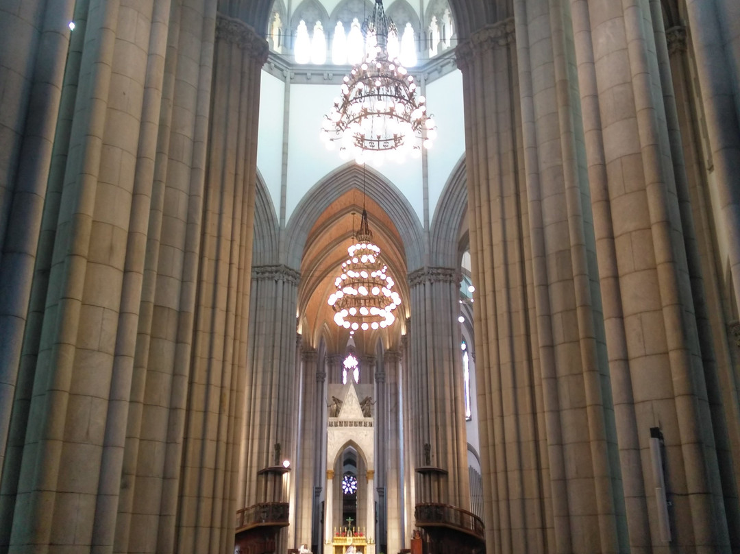 Catedral da Se de Sao Paulo-圣保罗必去景点