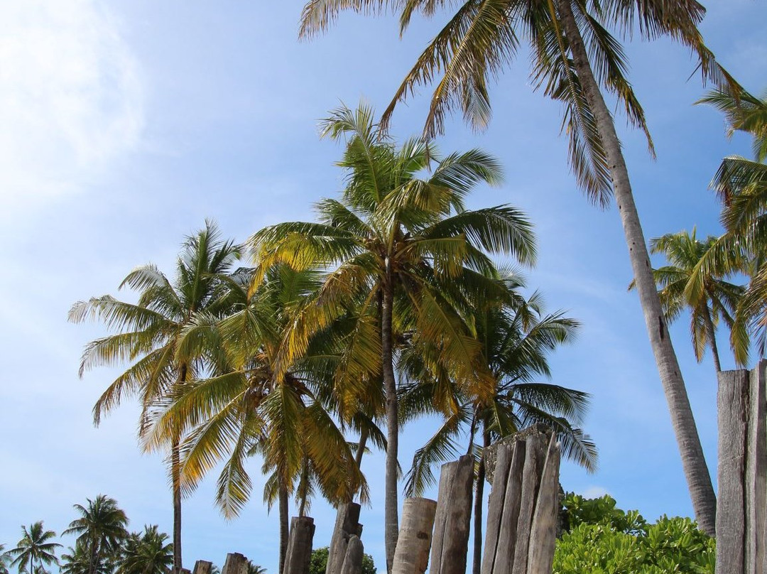 蓝牡蛎酒店主图