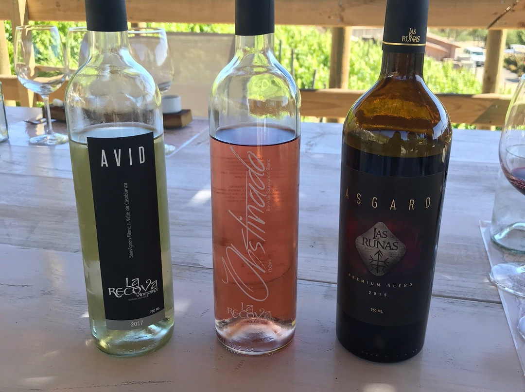 La Recova Wines-卡萨布兰卡必去景点