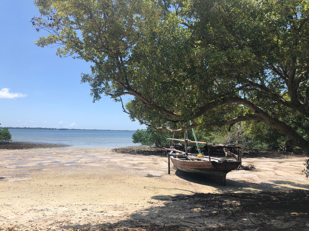 马菲亚岛酒店住宿-Mafia Blue Waves (previously Mangrove Beach Bungalows)
