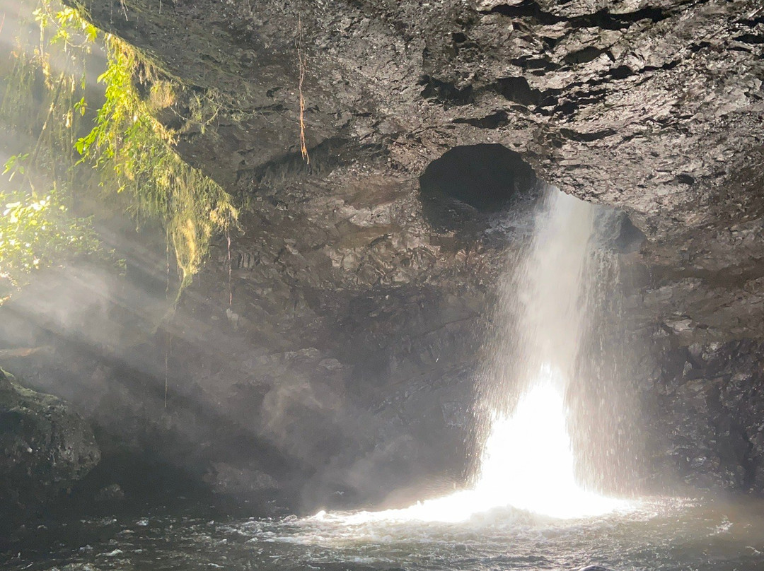 Cueva del Esplendor景点图片