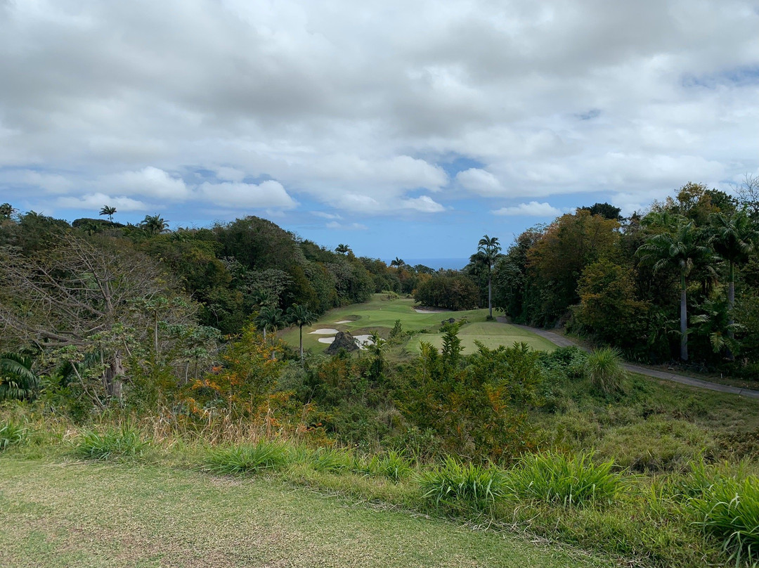 Apes Hill Golf Club景点图片