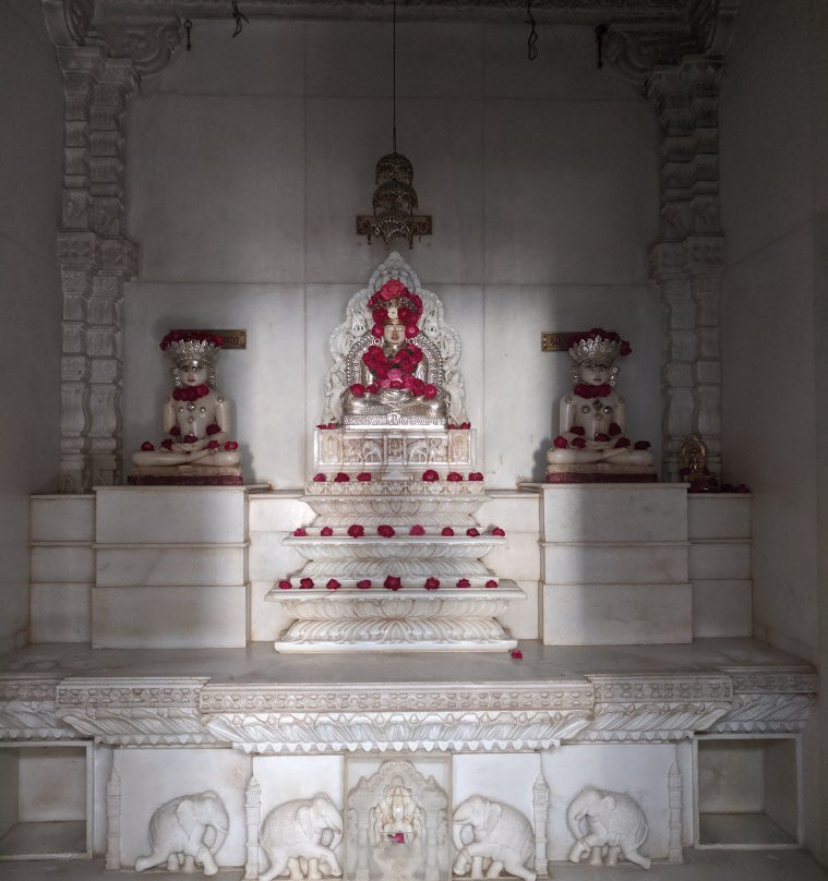 Pallaviya Parshwanath Temple景点图片