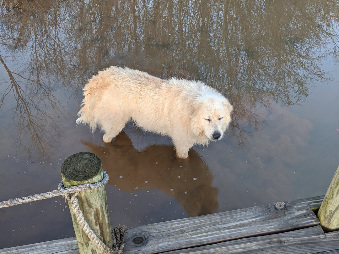 The Farmhouse Inn主图