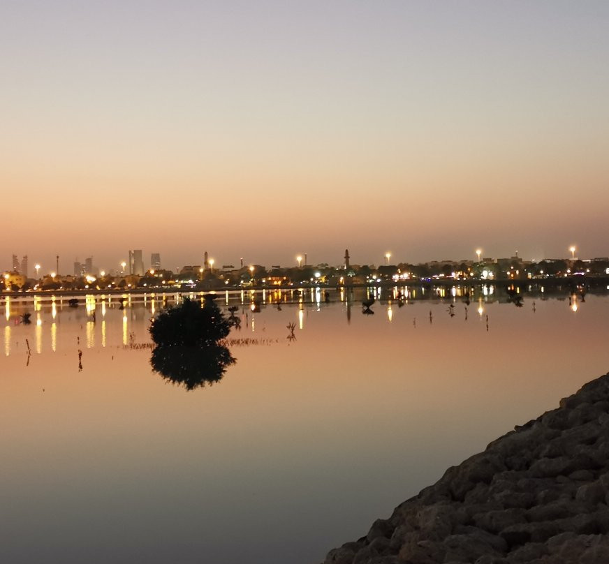 Dohat Arad Lagoon景点图片