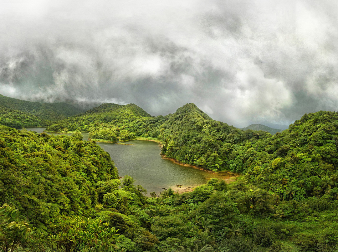 Nature Island Tours景点图片