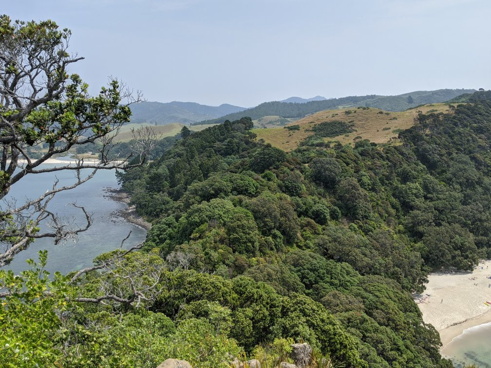 Whangapoua Beach景点图片