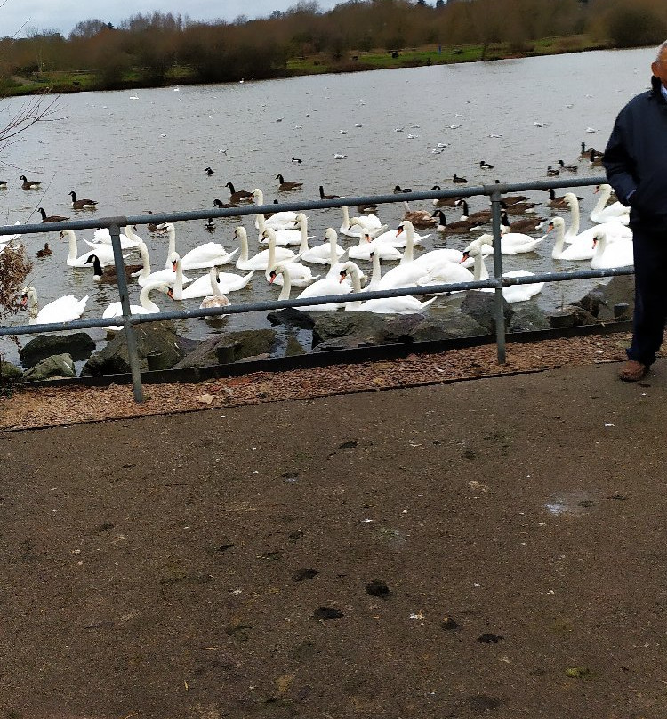 Watermead Park景点图片
