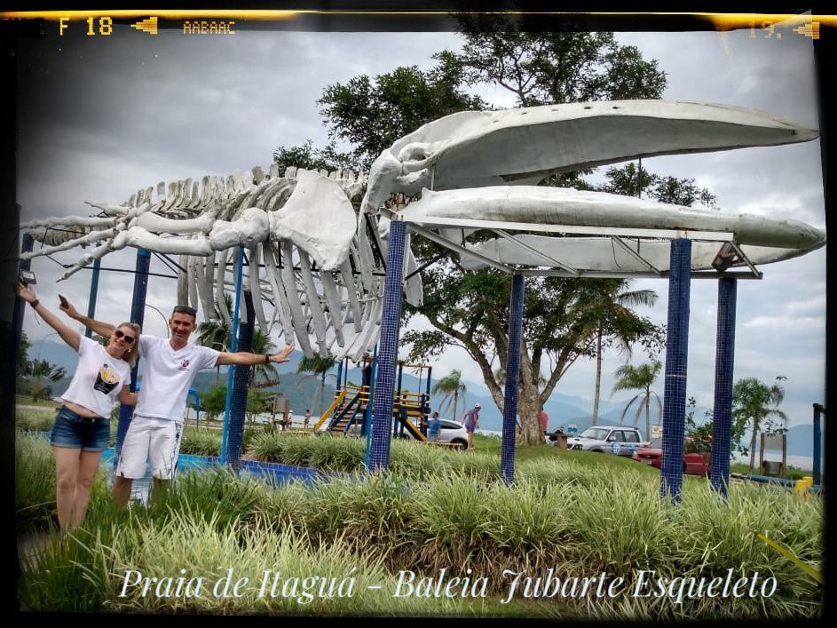 Praca da Baleia-乌巴图巴必去景点