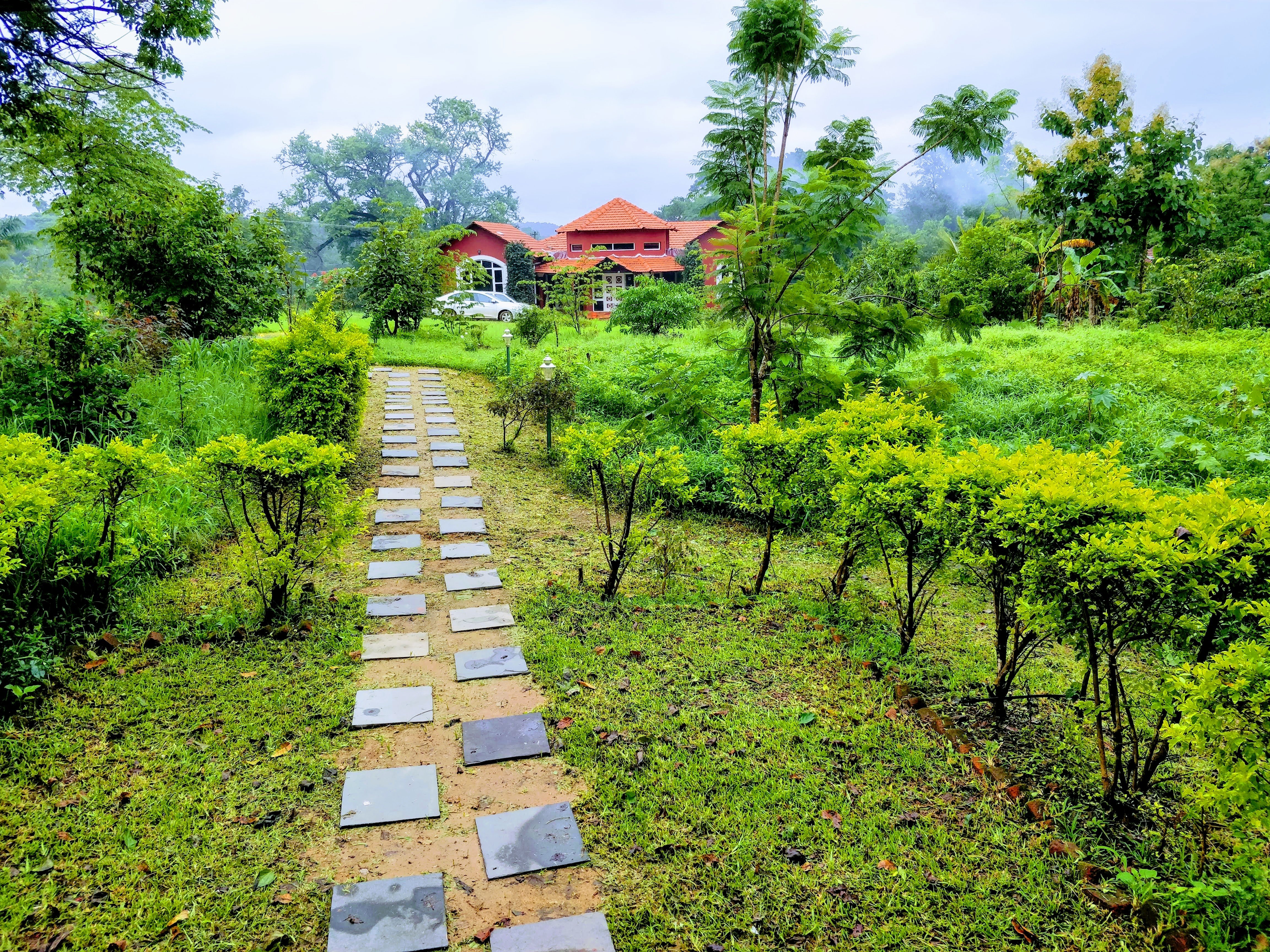 Dandeli Chalet-酒店景观