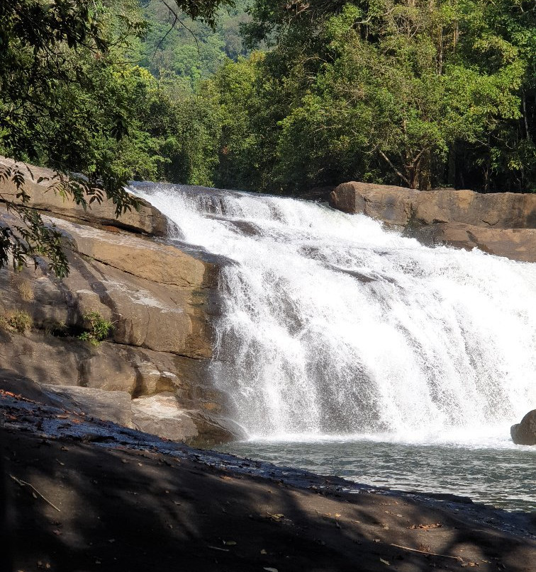 Thommankuthu Waterfalls景点图片