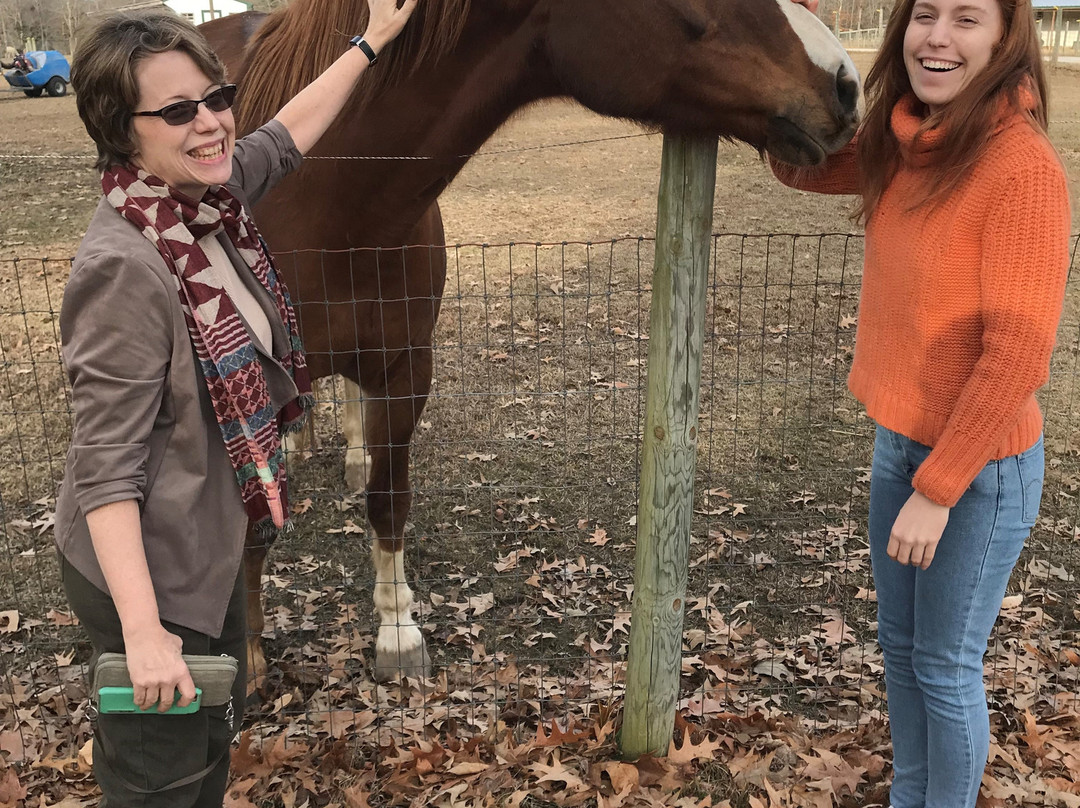 Fox Wire Farm Alpacas-Toano必去景点