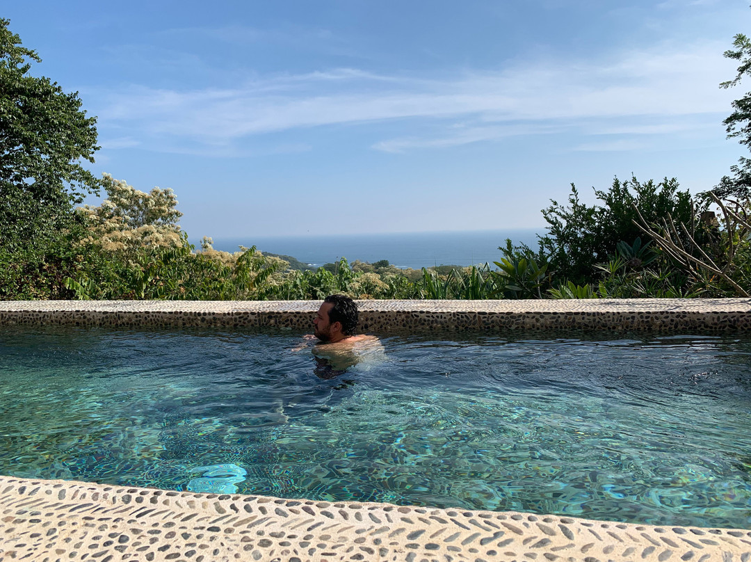 Las Almas Petit Hotel主图