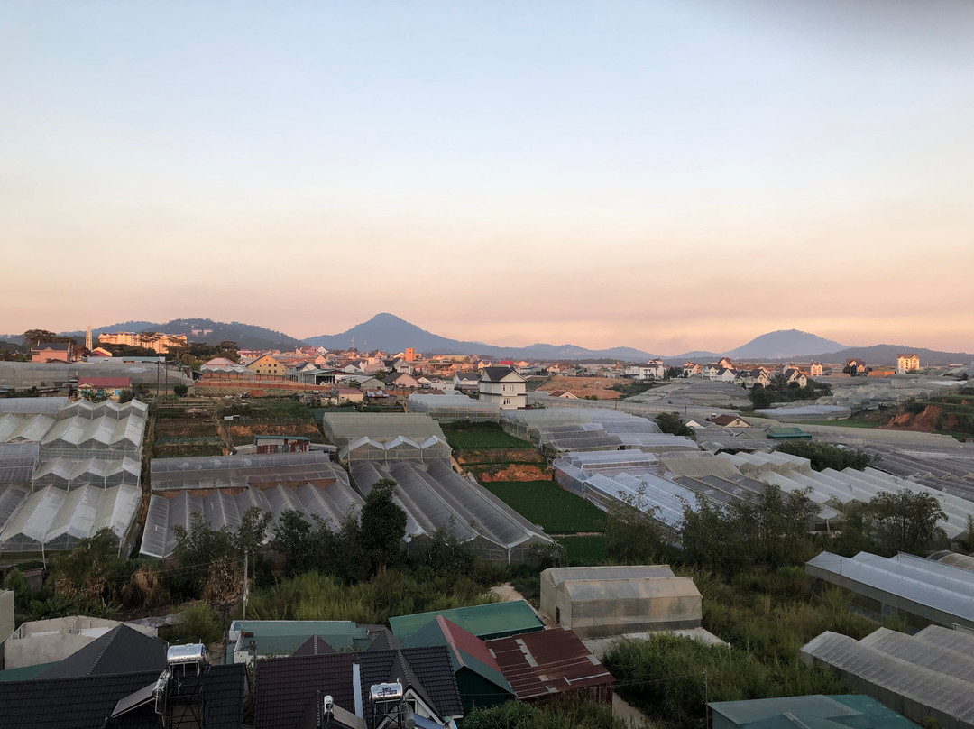 Canary Dalat Hotel主图