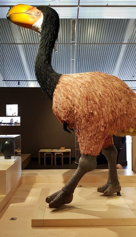 Megafauna Central - Museum and Art Gallery of the Northern Territory-爱丽斯泉必去景点
