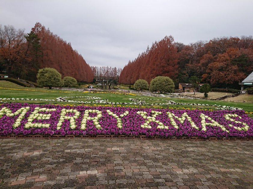 Sagamihara Prefectural Park-相模原市必去景点