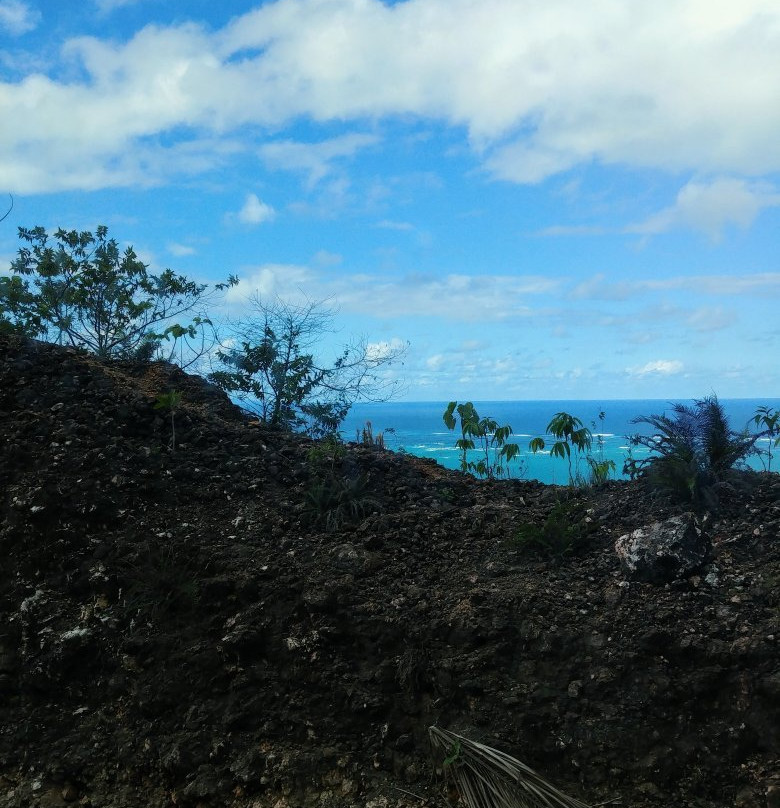 Carretera Samana Toll Road景点图片